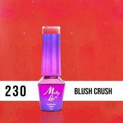 MollyLac Glowing Time Blush...